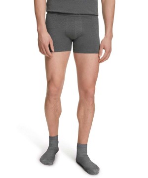 Boxer & Slips Barbati Falke 2-Pack Boxer Daily Comfort Gri | 5634MYLZS