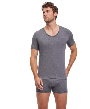 Cămașă Cu Mânecă Scurtă Barbati Falke 2-Pack T-Shirt V-neck Daily Comfort Gri | 2546VWMAT