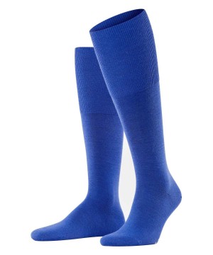 Sosete Barbati Falke Airport Knee-high Socks Albastri | 2539JSKTZ