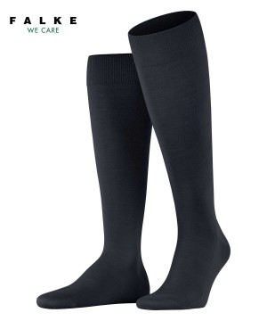 Sosete Barbati Falke ClimaWool Knee-high Socks Albastri | 7695RWXJA