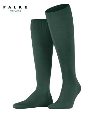 Sosete Barbati Falke ClimaWool Knee-high Socks Verzi | 4710EDJVA