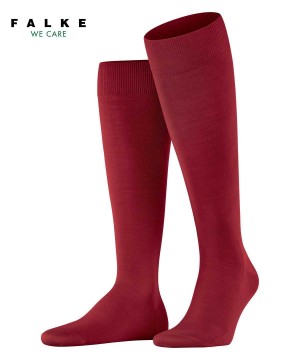 Sosete Barbati Falke ClimaWool Knee-high Socks Rosii | 4058IUMYZ