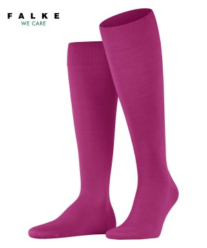 Sosete Barbati Falke ClimaWool Knee-high Socks Rosii | 8524SXOTP