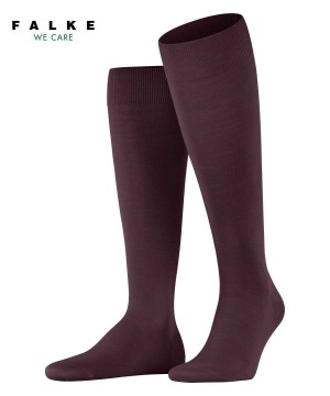 Sosete Barbati Falke ClimaWool Knee-high Socks Rosii | 8704BTWGV