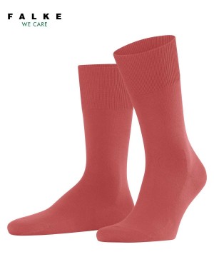 Sosete Barbati Falke ClimaWool Socks Rosii | 6014AZQMF
