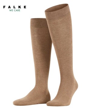 Sosete Barbati Falke Family Knee-high Socks Maro | 6018ZJXLS