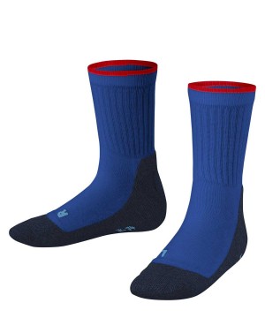 Sosete Copii Falke Active Everyday Socks Albastri | 9635EIQFS