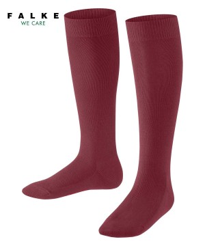 Sosete Copii Falke Family Knee-high Socks Rosii | 5746JWYMO