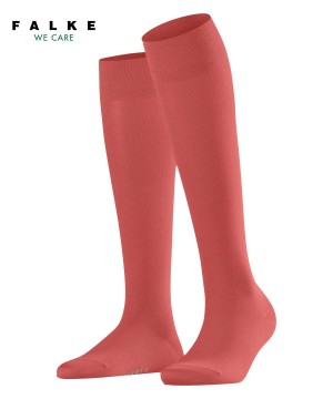 Sosete Dama Falke Cotton Touch Knee-high Socks Rosii | 0461ONZUP