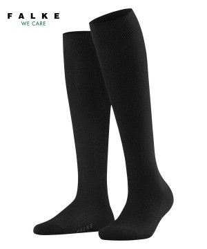 Sosete Dama Falke Family Knee-high Socks Negrii | 3198JQTNI