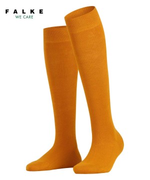 Sosete Dama Falke Family Knee-high Socks Galbeni | 0728EZYBG