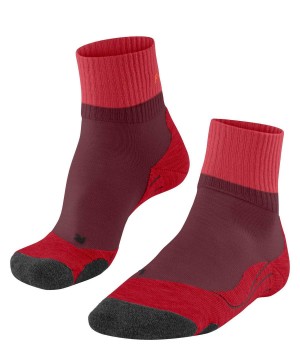 Sports Socks Dama Falke TK2 Explore Short Trekking Short sock Rosii | 0276CLJDW